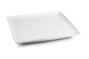 Plate 30x30cm White Squito