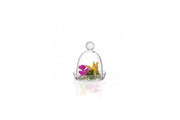 Mini Cover and Plate  - Unit of 1
