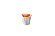 Terrine Bone Porcelain Plate - Pack of 3