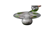Ovni Plate  - Unit of 1