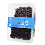 Dried Blueberry Pieces 100g