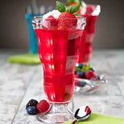 Polycarbonate Fountain Dessert Glasses 12oz / 340ml