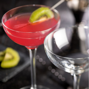 Carmen Coupe Glasses 6.5oz / 185ml