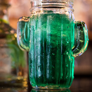 Cactus Jar 15.5oz / 410ml - Pack of 6