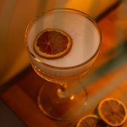 Elysia Coupe Glasses 9oz / 260ml