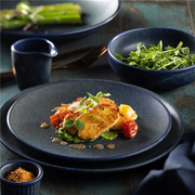 Granite Blue Coupe Plate 9inch / 23cm - Pack of 6