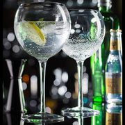 Utopia Botanist Gin Glass 19.75oz / 560ml - Pack of 6