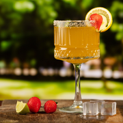 Elysia Cocktail Glasses 17oz / 500ml