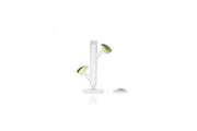 Cactus Glass XS - Pack of 2