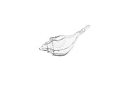 Murex Sea Snail Glass - Unit of 1