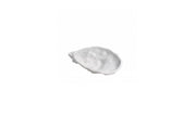 Oyster Dish XXL - Pack of 2