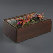 Corfu Forest Mist Box - Unit of 1