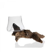 Branch Glass - Pack of 6