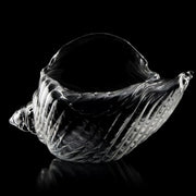 Seashell Glass - Unit of 1