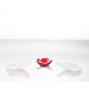 White Rose Petal Spoon - Pack of 6