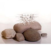 Sea Urchin Glass - Unit of 1