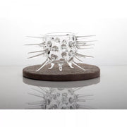 Tall Sea Urchin Glass - Unit of 1