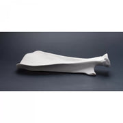 Veal Shoulder Porcelain Plate - Unit of 1