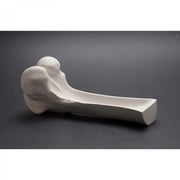 Big Ox Femur Porcelain Plate  - Unit of 1