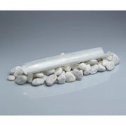 Razor Shell Glass Plate - Pack of 2