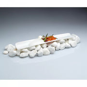 Razor Shell Glass Plate - Pack of 2